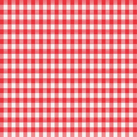 Magic Cover Magic Cover Red/White Checkered Vinyl Disposable Tablecloth 54 in. L X 54 in. W TBL-MC573-36